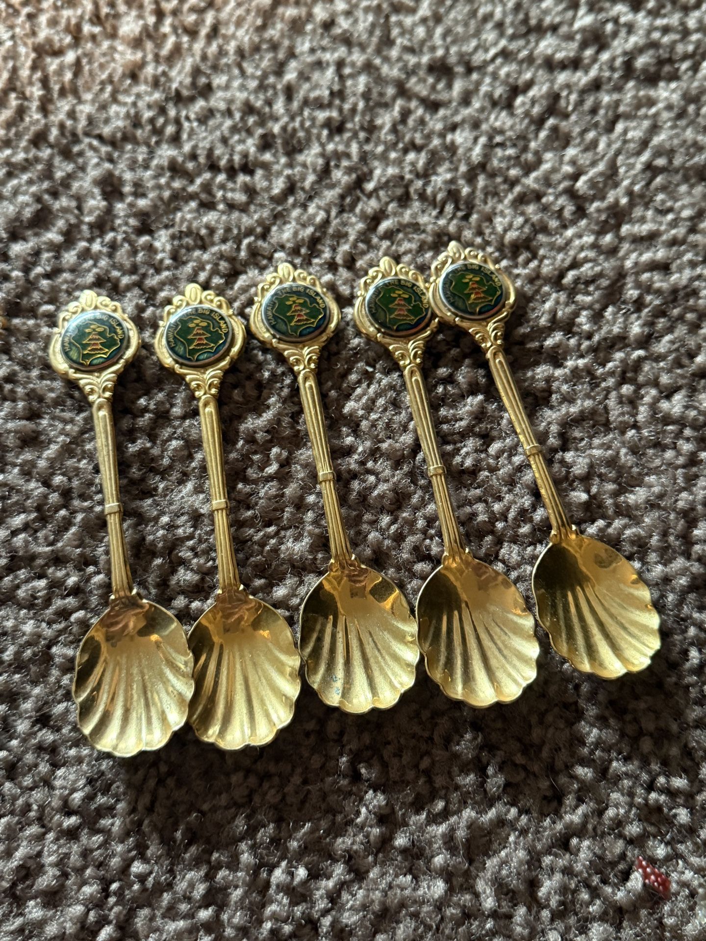 5 shell spoons