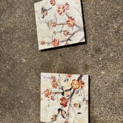 Birds In a Tree Paintings 24”x24”