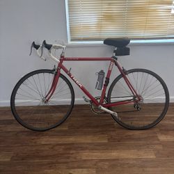 1500 Aluminum Trek Bike 