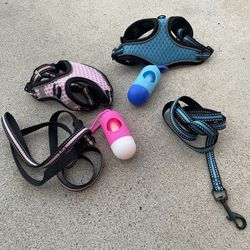 Harness Walk Kit – Small Dogs 