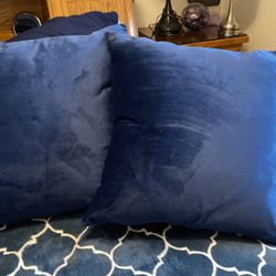 Couch Pillows 