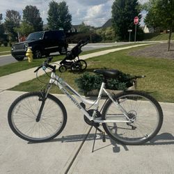 Adult Bicycle 