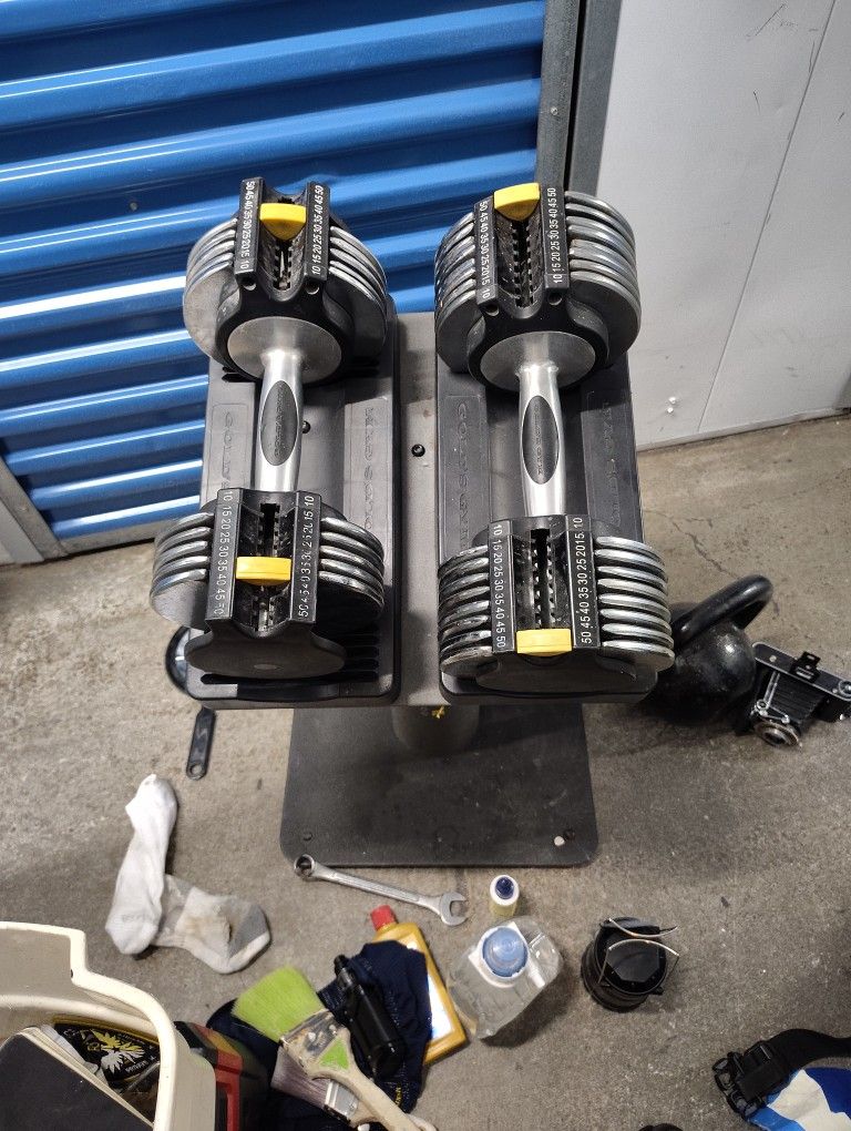 Golds Gym 100 Switchable Plate System
