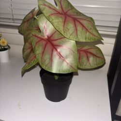 Fake Plant