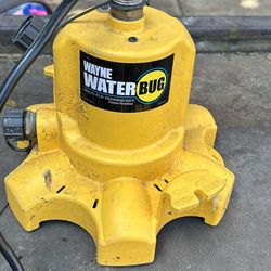 Wayne Water Bug