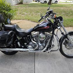  Harley Davidson 2002  FSXTI Soft Tail