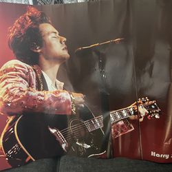 Harry Styles Poster 