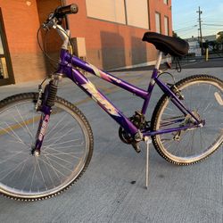 Mountain Bicycle 
