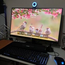 HP Monitor