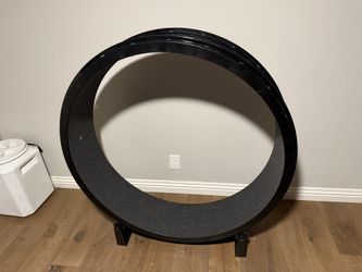 Cat Wheel