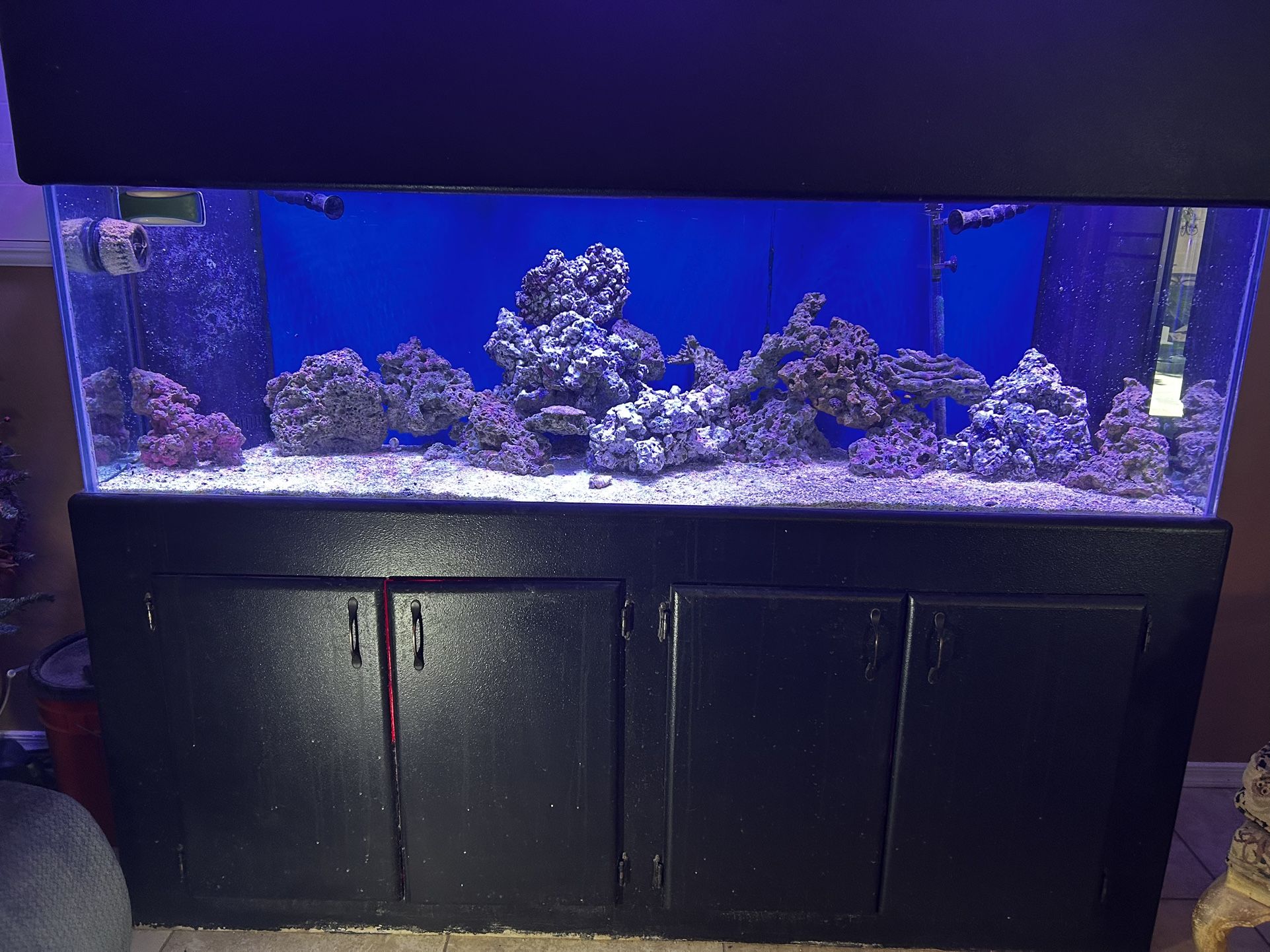 View of 120 gallon Saltwater Aquarium for Sale in Eleven Mile, AZ - OfferUp