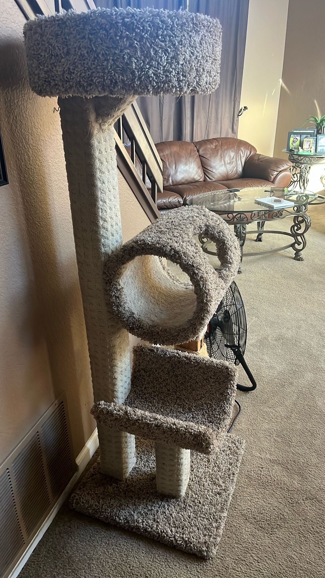 Cat Condo