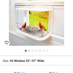 Window Bird Feeder