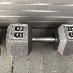 65lb Single Dumbbell