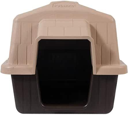Dog House