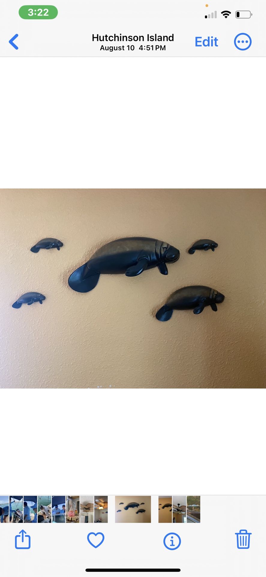 (5) Piece Manatee Wall Decor