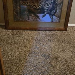 Leopard Print