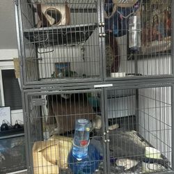 Jaula Para Chinchilla 