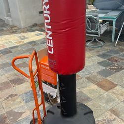 Freestanding Punching Bag And Gloves