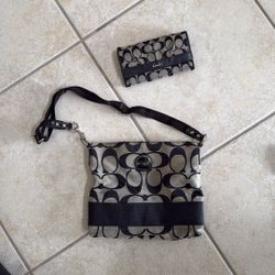 coach (big wallet & bag)