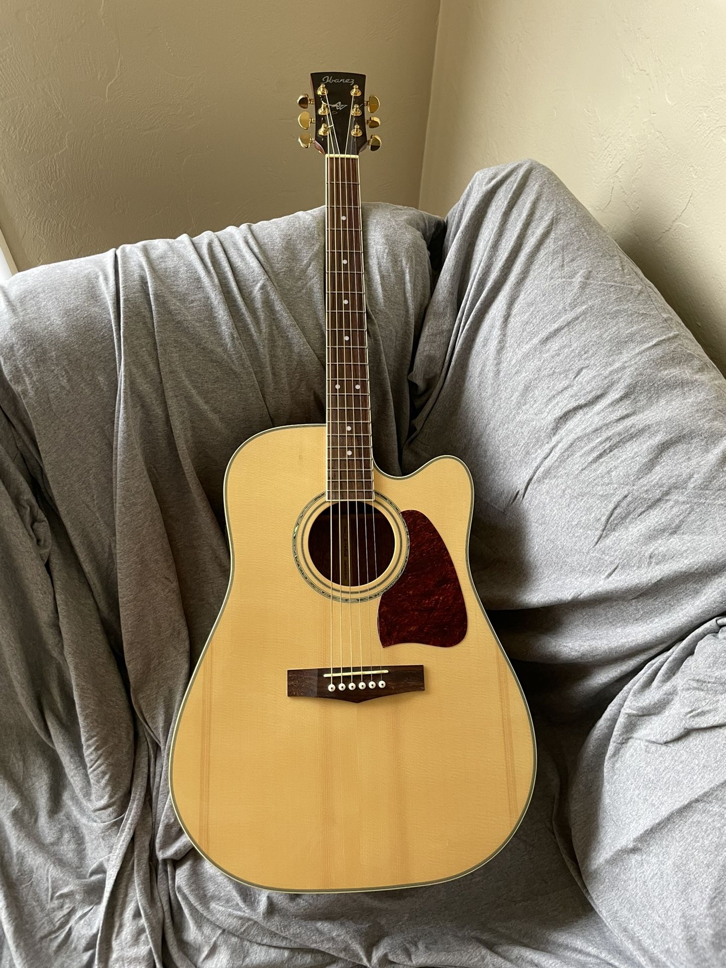 Ibanez Acoustic/Electric Guitar