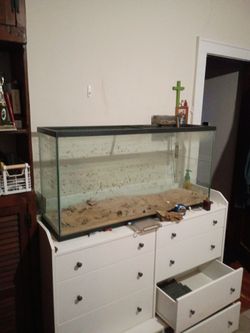 Aquariums + Supplies