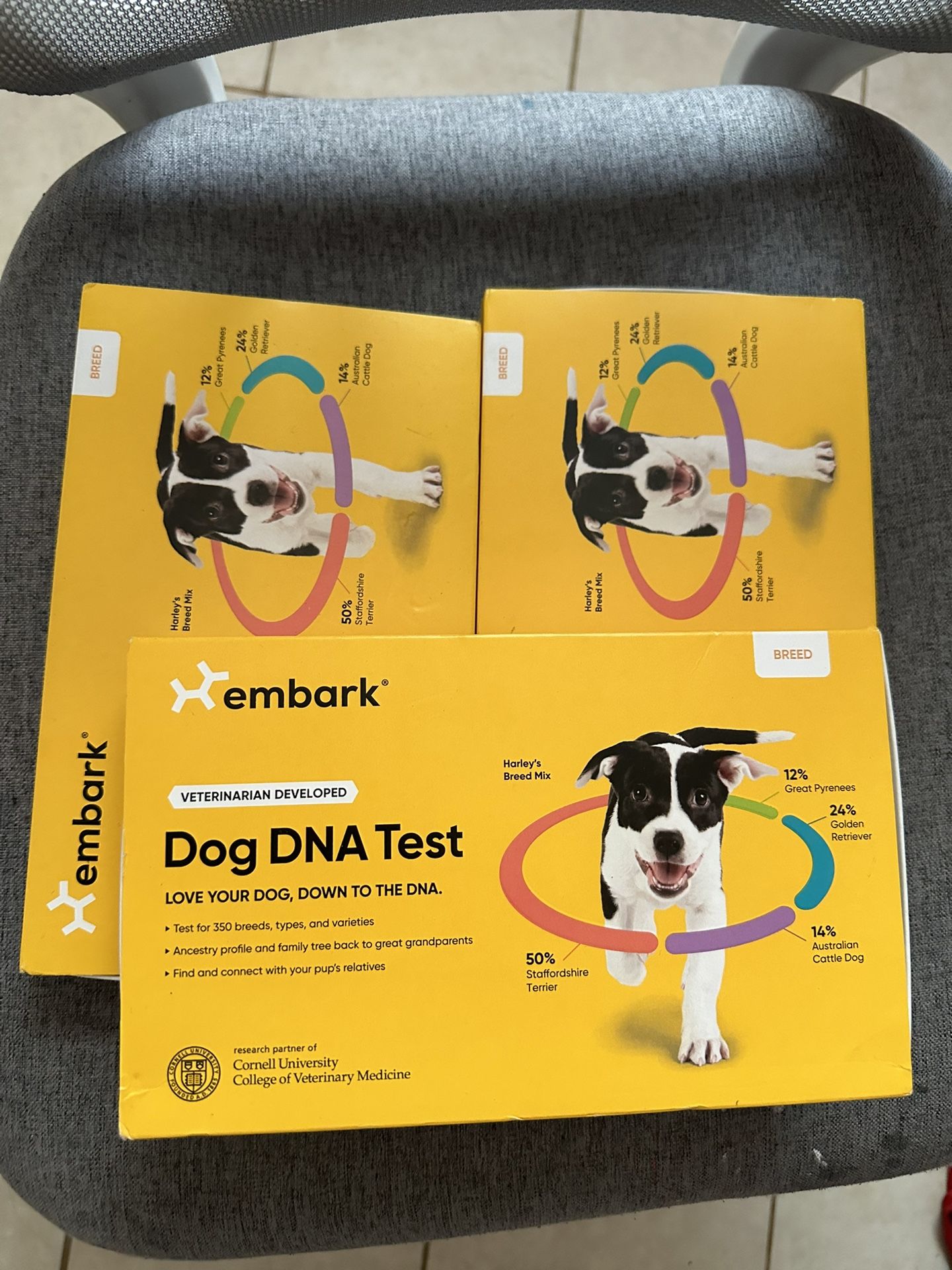 Dog DNA Test 