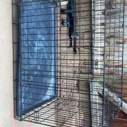 Dog Crate