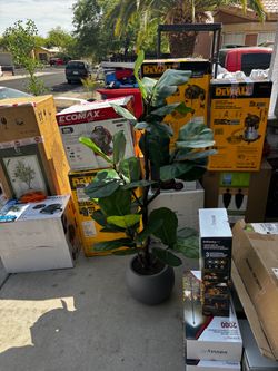 Faux 5' Slim Fig Tree