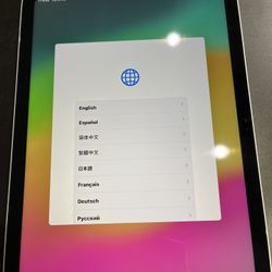 iPad 10th Gen 256GB (841894-1)