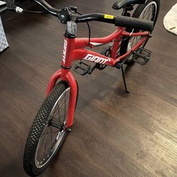 Giant 18” bike