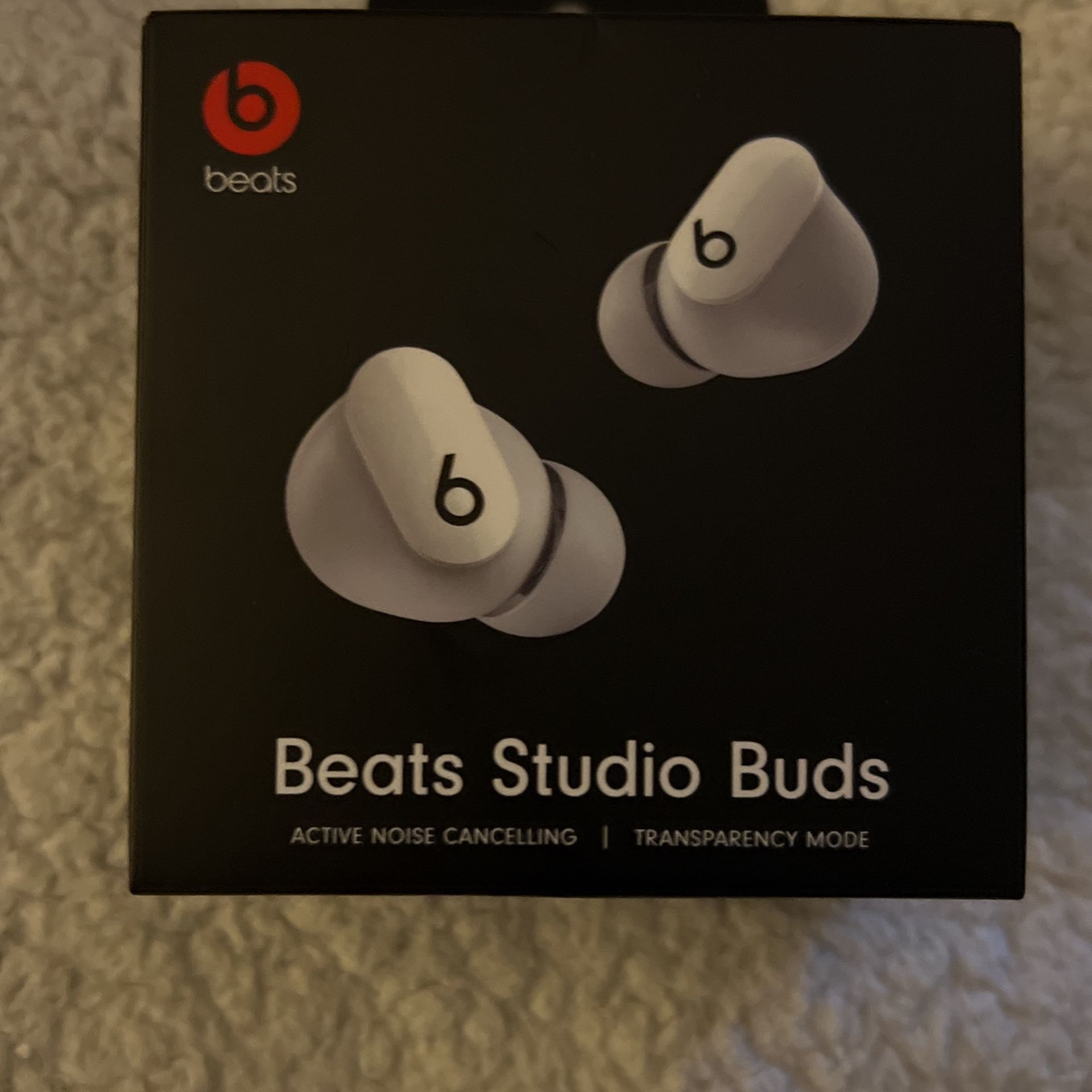 Beats Studio Bugs