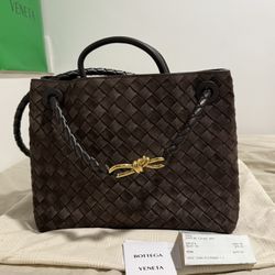 Bottega Veneta Medium suede Andiamo 