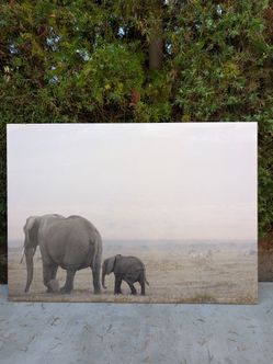 Elephant wall art canvas picture
