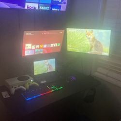 Gaming Setup