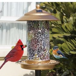 Solar Bird Feeder with Stand & Hook – 2-in-1 Hanging or Freestanding Feeder