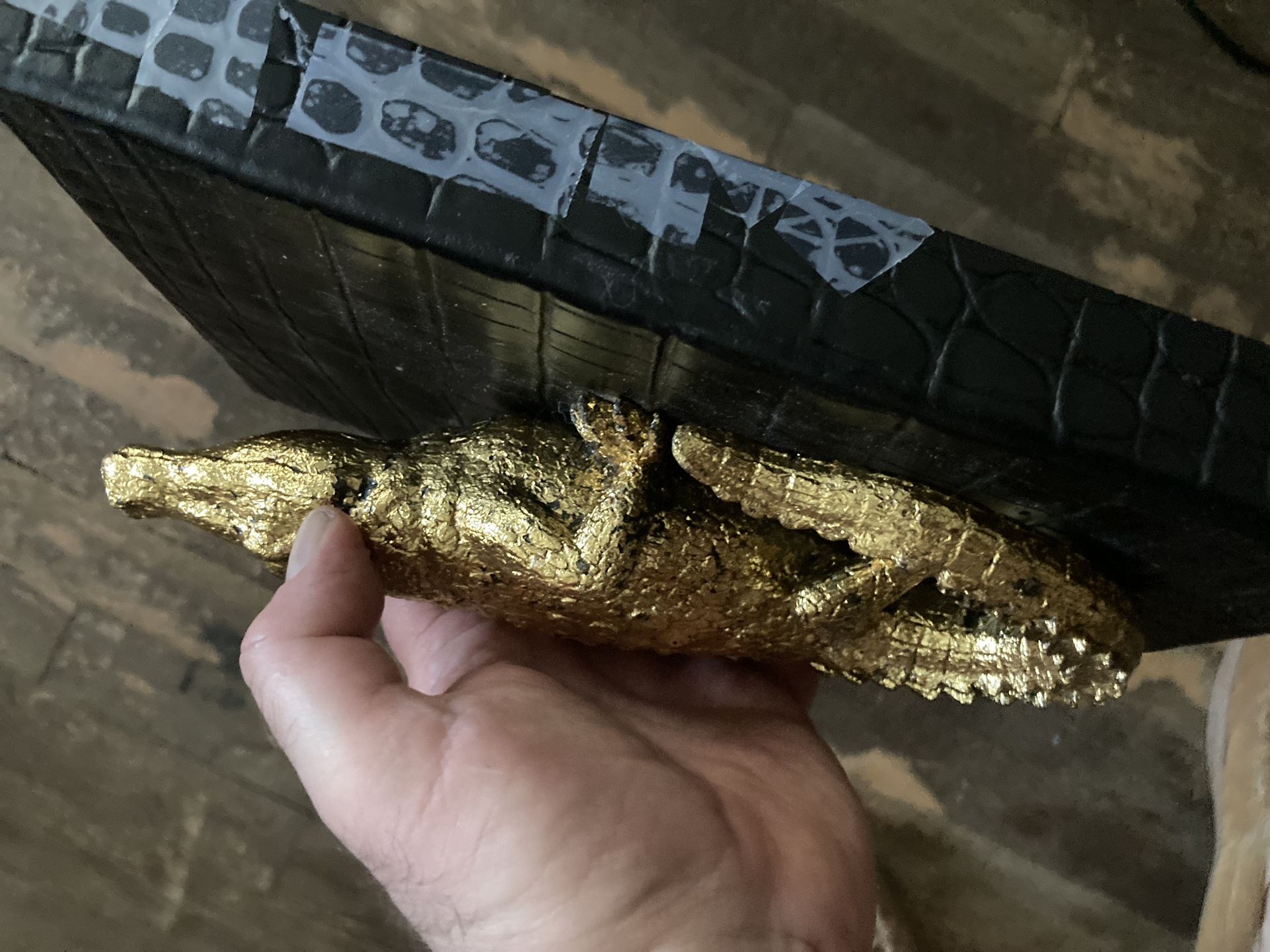 Alligator Box