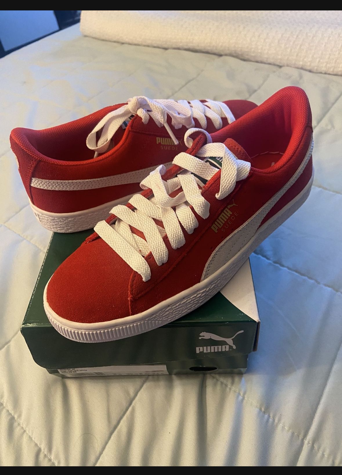 Pumas