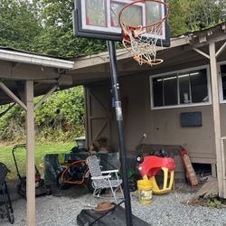 Lifetime Adjustable Basketball Hoop
