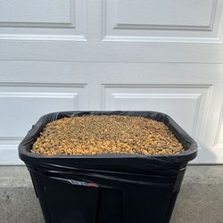 Dog Mixed Food 