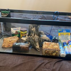 20 Gallon Long Aquarium 