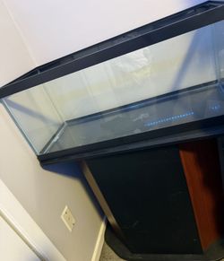 Fish Tank And Stand