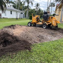 Stump Grinding 