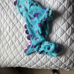 Dog dinosaur outfit