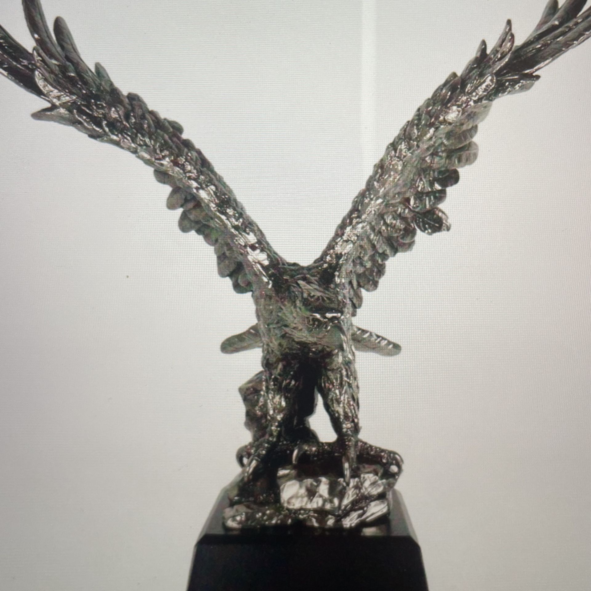 King Silver Eagle With Open Wings