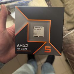 Ryzen 5 9600x CPU