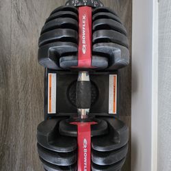 Bowflex Weights