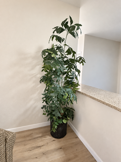 Large Artificial Indoor Plant in Basket
