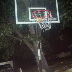 Basketball Hoop