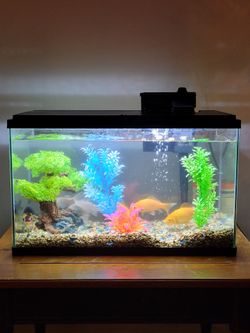 Glass Fish Tank Aquarium with Filter and LED Lid